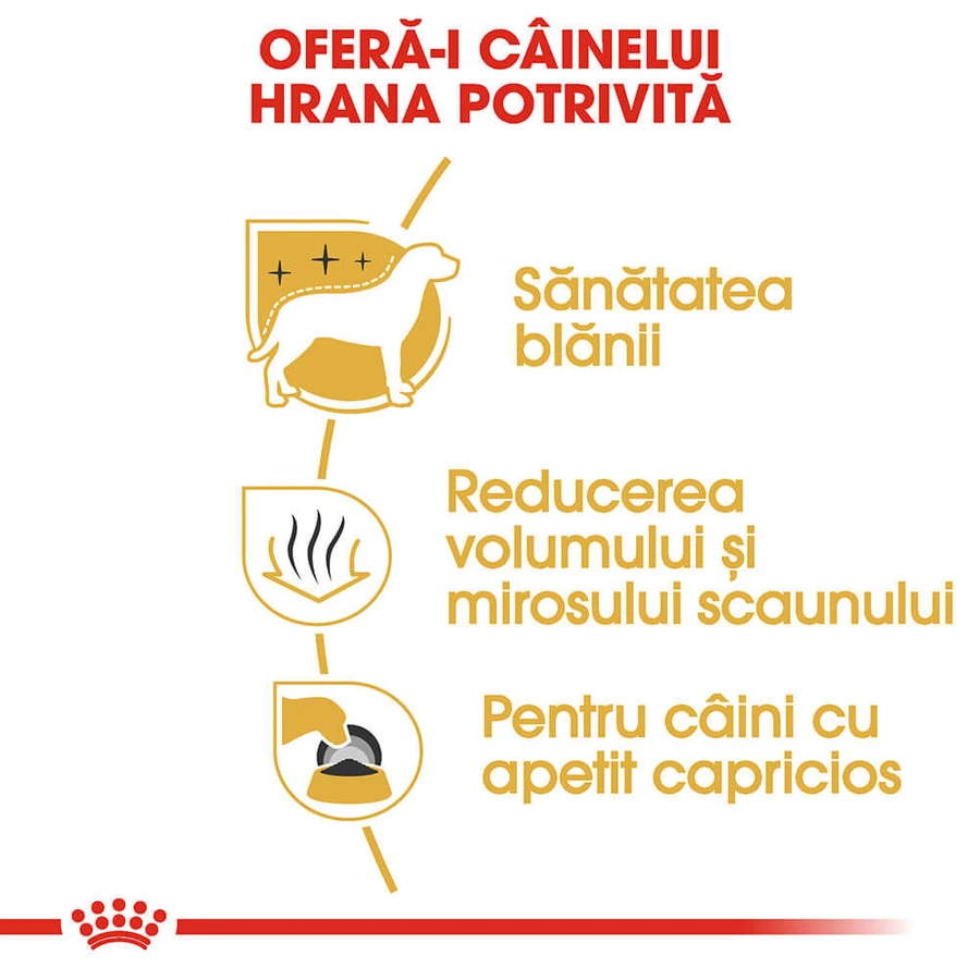 ROYAL CANIN Maltese Adult, Trockenfutter für Hunde, 500 g