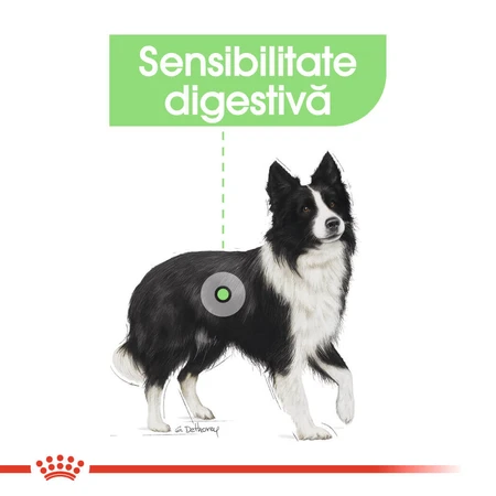 ROYAL CANIN Medium Digestive Care, dry dog food, digestive comfort, 3 kg