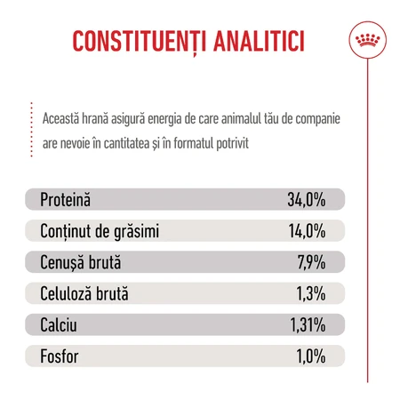 ROYAL CANIN Giant Puppy, pienso seco para cachorros, Etapa 1 de crecimiento, 3,5 kg