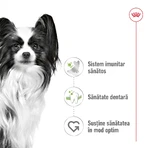 ROYAL CANIN X-Small Adult, dry dog food, 500g