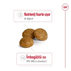 ROYAL CANIN X-Small Adult, dry dog food, 500g