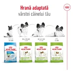ROYAL CANIN X-Small Adult, dry dog food, 500g
