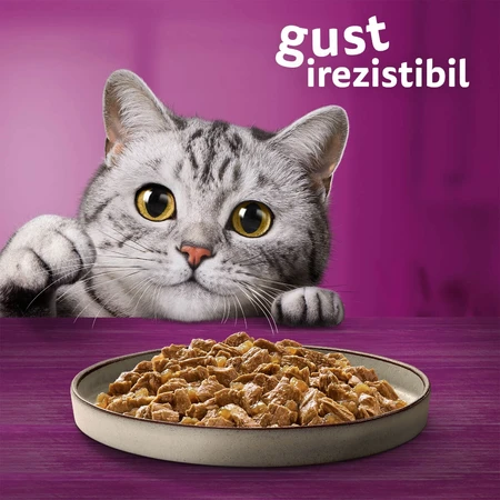 WHISKAS Pure Delight, Gevogelte, nat kattenvoer in zakjes (in aspic), multipack, 85 g x 12