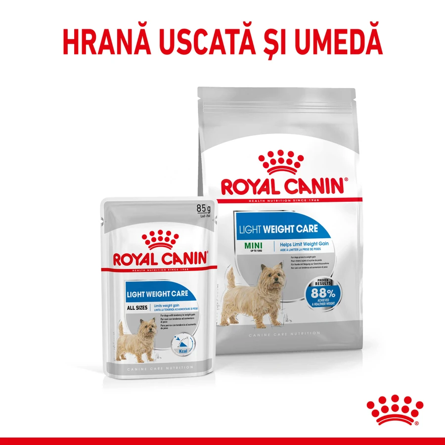 ROYAL CANIN Mini Light Weight Care Adult, croccantini per cani, per il controllo del peso, 1 kg