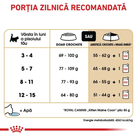 ROYAL CANIN Maine Coon Kitten, droogvoer voor jonge katten, 2 kg