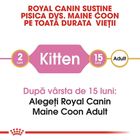 ROYAL CANIN Maine Coon Kitten, droogvoer voor jonge katten, 2 kg