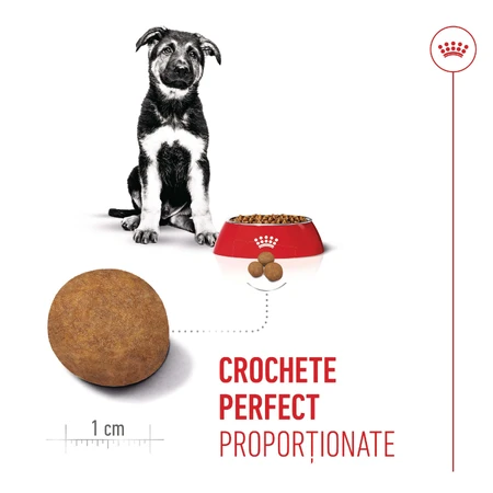 ROYAL CANIN Maxi Puppy, hrană uscată câini junior, 3kg