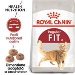 ROYAL CANIN Fit32 Adult, droogvoer voor katten, matige lichaamsbeweging, 4 kg