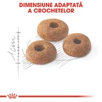 ROYAL CANIN Fit32 Adult, droogvoer voor katten, matige lichaamsbeweging, 4 kg