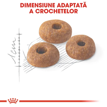 ROYAL CANIN Fit32 Adult, droogvoer voor katten, matige lichaamsbeweging, 4 kg