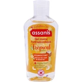ASSANIS HYDROALCOHOLISCHE HANDDESINFECTIEGEL, TROPISCHE GEUR, 80 ML