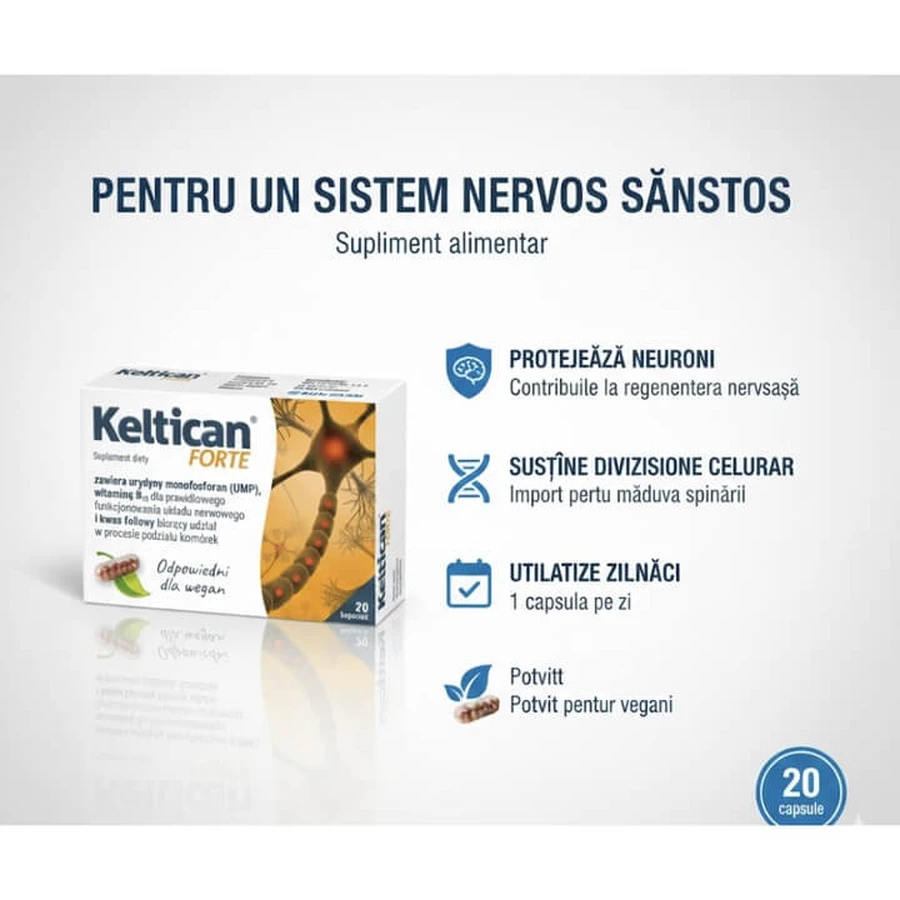 Keltican Forte, 8x20 capsule, Sun-Farm