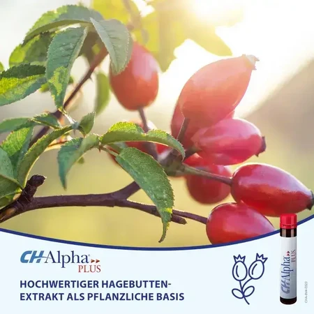 Collagène liquide Ch Alpha Plus, 3x30 ampoules buvables, Gelita Health