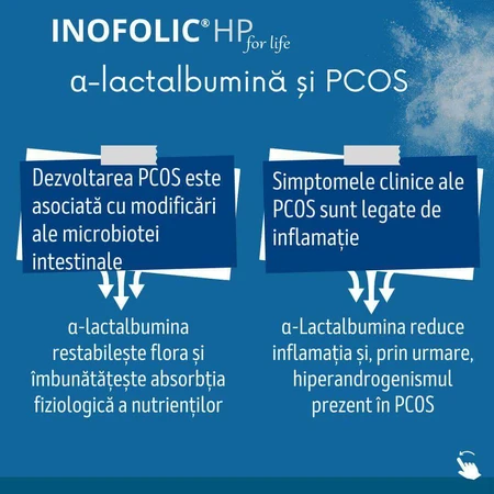 Inofolic HP, 3x30 zakjes, Loli Pharma