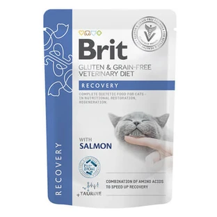 Nourriture humide pour chat « Recovery » au saumon, 85 g, Brit