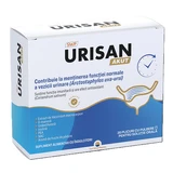 Urisan Akut, 20 Beutel, Sun Wave Pharma