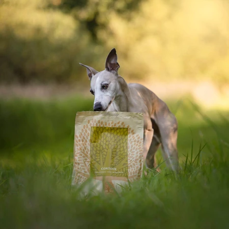 ESSENTIAL Contour XS-S, Kip en Eend, graanvrij droogvoer voor gesteriliseerde/gecastreerde honden en honden met overgewicht, 2,5 kg