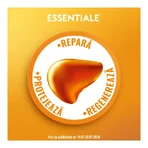Essentiale Forte confezione 4+1, 300 mg, 5 x 90 capsule, Sanofi