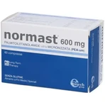 Normast 600 mg, 2x60 tabletten
