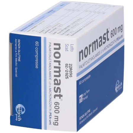 Normast 600 mg, 2x60 tabletten