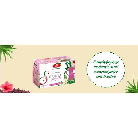Silueta perfectǎ 1 Tea, purification and drainage M123, 5x20 sachets, Fares