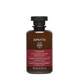 Shampoo for coloured hair, 250 ml, Apivita