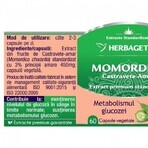 Momordica bitter komkommerextract, 120 capsules, Herbagetica