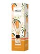 Areon kamerverfrisser Mango, 50 ml