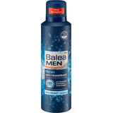 Balea MEN Deodorantspray fris, 200 ml