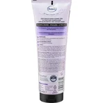 Balea Professional Shampoo voor grijs haar, 250 ml