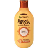 Botanic Therapy Shampoo mit Honig und Propolis, 400 ml