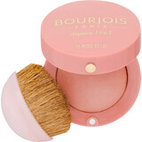 Buorjois Paris Blush 15 Rose Eclat, 2.5 g