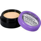 Catrice Ultimate Camouflage Crema corectora 010 Marfil, 3 g