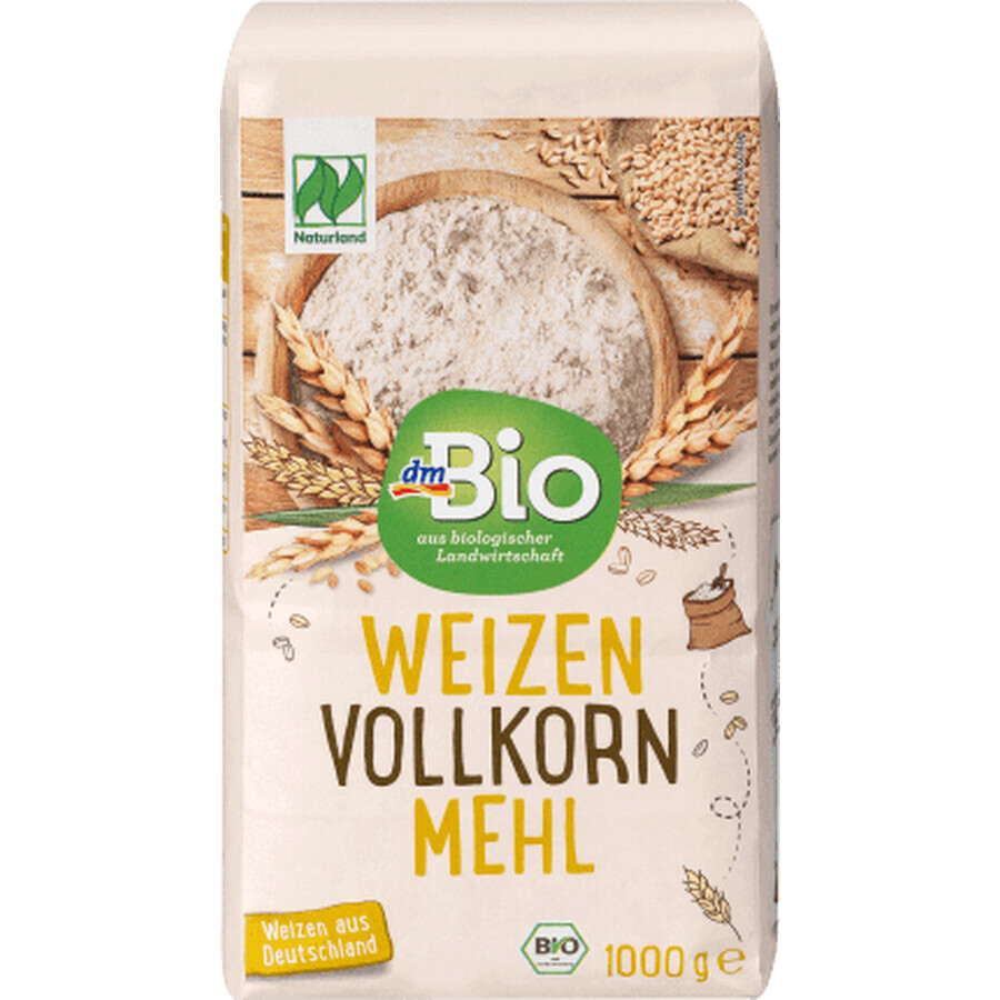 DmBio Volkoren meel, 1 kg