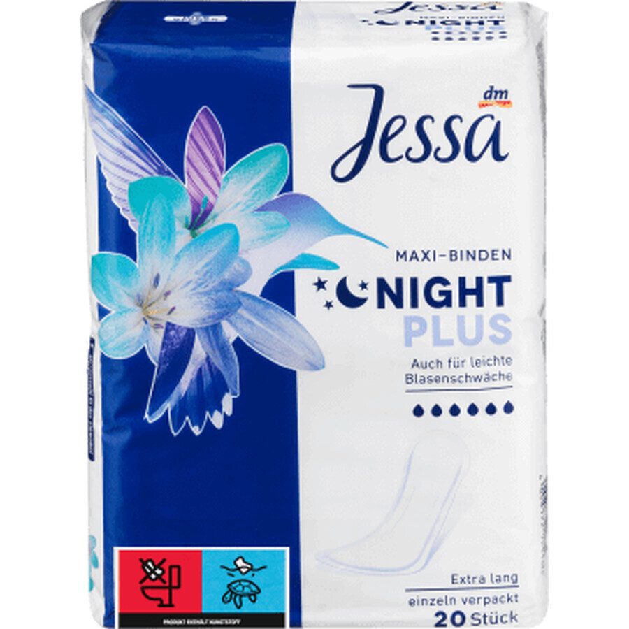 Jessa Absorbent maxi night plus, 20 pcs