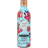 Langhaarmadchen Acai &amp; Acerola Fruit Volume Boost Shampooing, 300 ml