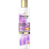 Pantene Silk and Glow Shampoo, 225 ml