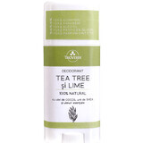 Deodorant met tea tree en limoen, 60g, Trio Verde