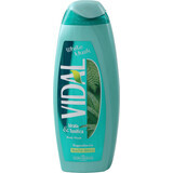 VIDAL Witte Muskus Douchecrème, 500 ml