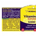 Detrix Forte Vitamina D3 5000 UI, 120 capsule, Herbagetica